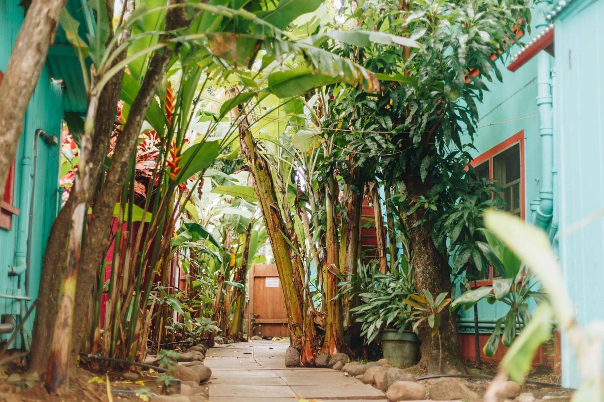 Banana Bungalow Maui Hostel Wailuku Zewnętrze zdjęcie